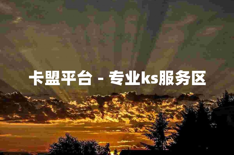 卡盟平台 - 专业ks服务区