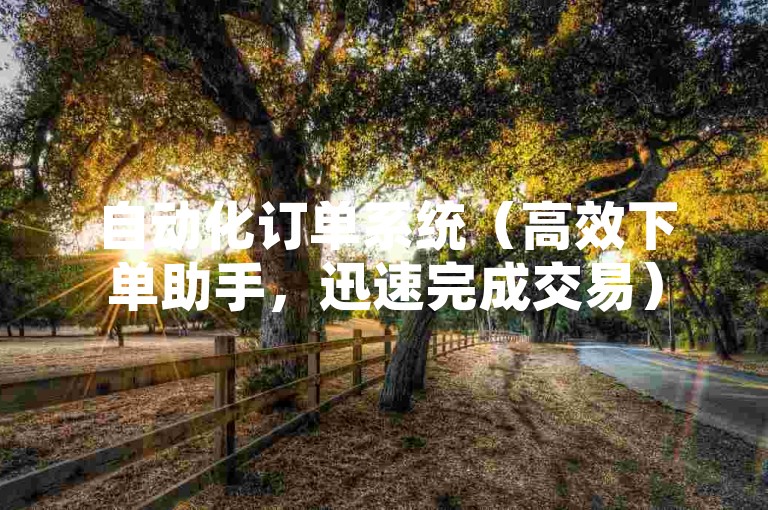 自动化订单系统（高效下单助手，迅速完成交易）