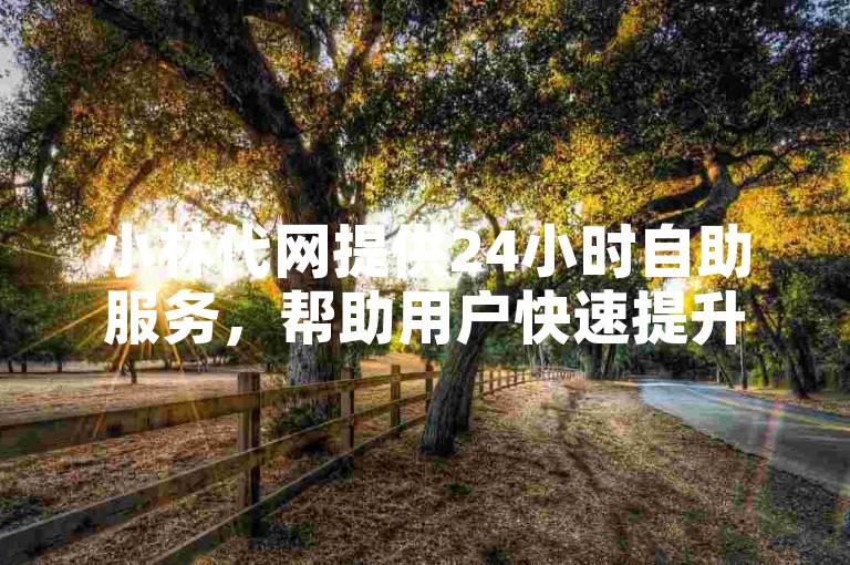小林代网提供24小时自助服务，帮助用户快速提升快手平台的人气。