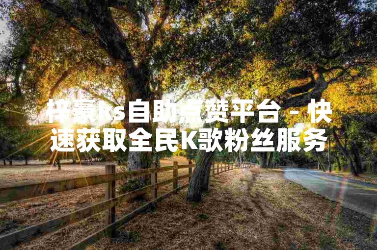 梓豪ks自助点赞平台 - 快速获取全民K歌粉丝服务