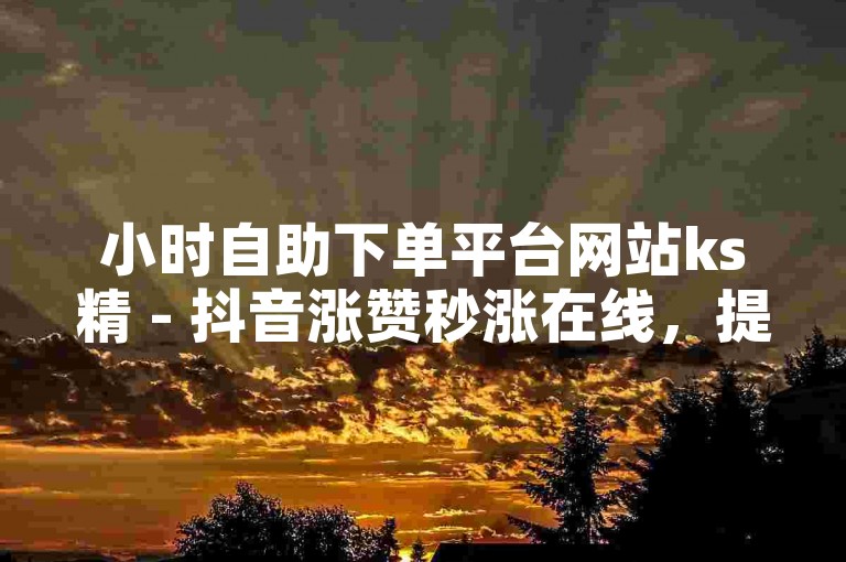 小时自助下单平台网站ks精 - 抖音涨赞秒涨在线，提供便捷的服务体验。