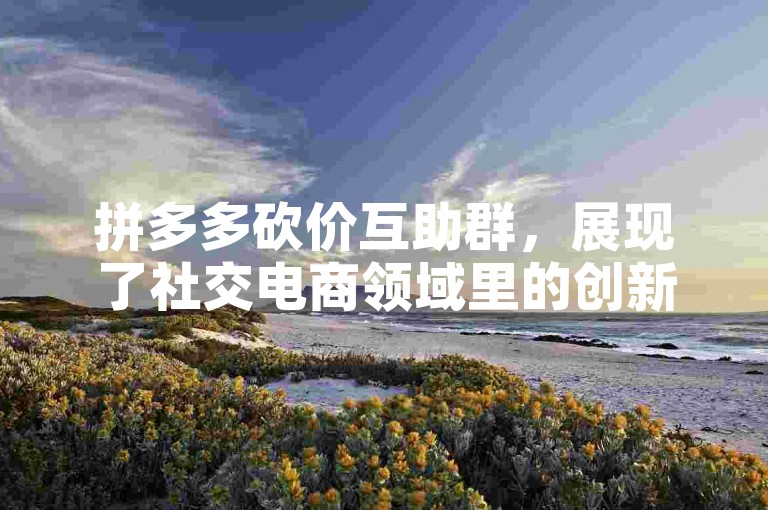 拼多多砍价互助群，展现了社交电商领域里的创新互动模式。