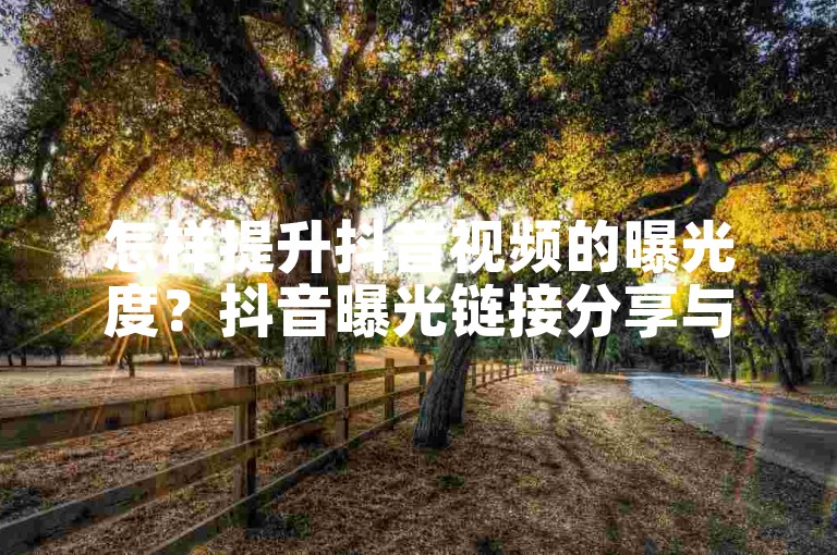 怎样提升抖音视频的曝光度？抖音曝光链接分享与推广策略全解析
