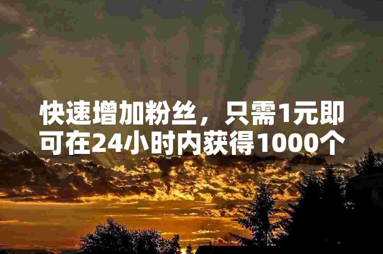 快速增加粉丝，只需1元即可在24小时内获得1000个新关注者，使用全网最低价的自助下单软件。