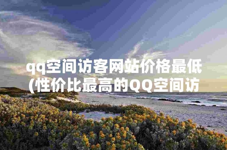 qq空间访客网站价格最低(性价比最高的QQ空间访客网站)