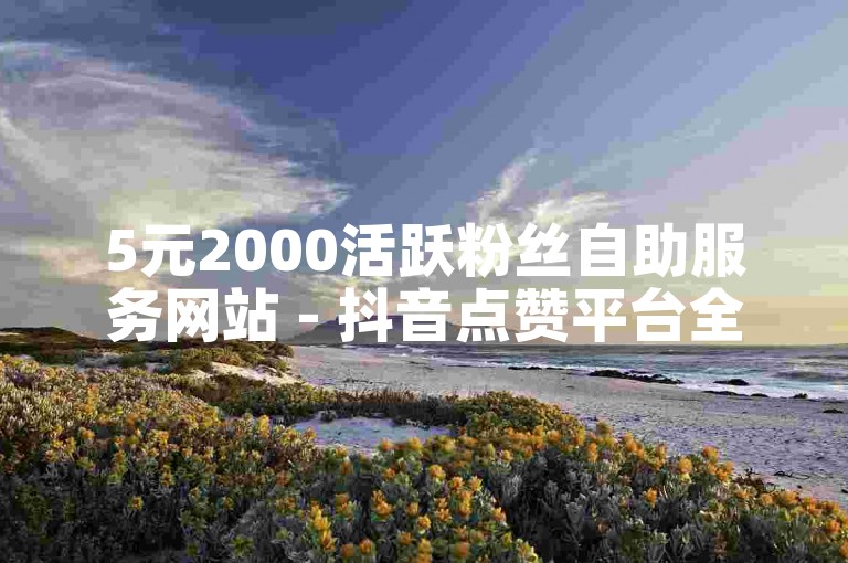 5元2000活跃粉丝自助服务网站 - 抖音点赞平台全天候开放