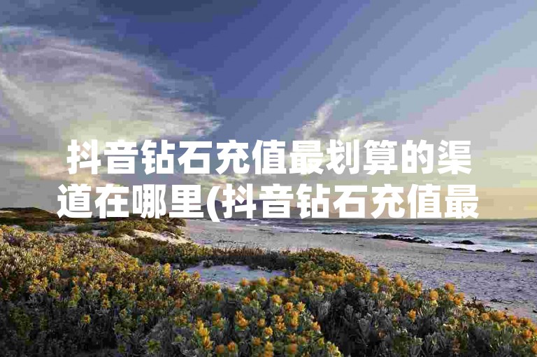 抖音钻石充值最划算的渠道在哪里(抖音钻石充值最省钱的途径)。