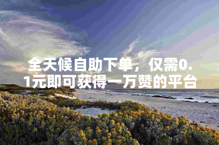 全天候自助下单，仅需0.1元即可获得一万赞的平台。