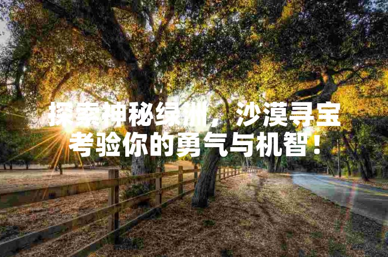 探索神秘绿洲，沙漠寻宝考验你的勇气与机智！