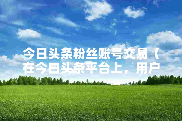 今日头条粉丝账号交易（在今日头条平台上，用户可进行专属粉丝账号的买卖）