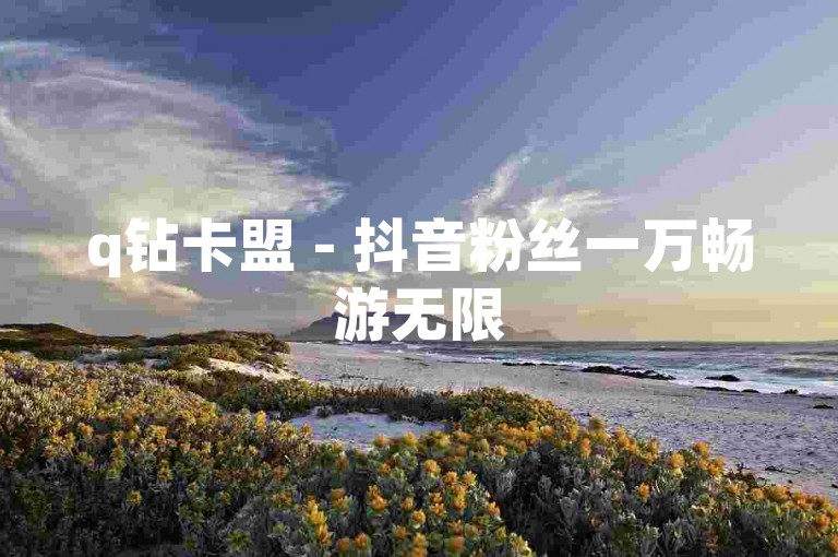 q钻卡盟 - 抖音粉丝一万畅游无限