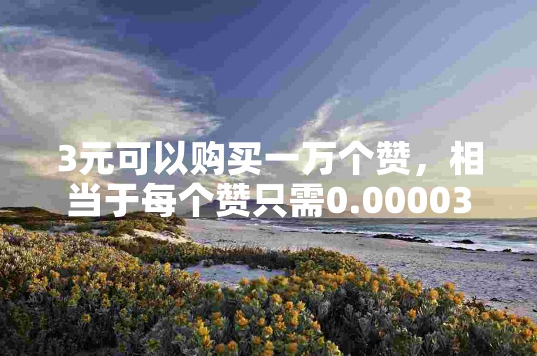 3元可以购买一万个赞，相当于每个赞只需0.00003元。