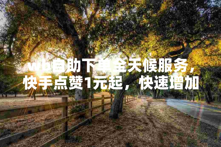 wb自助下单全天候服务，快手点赞1元起，快速增加1000赞。