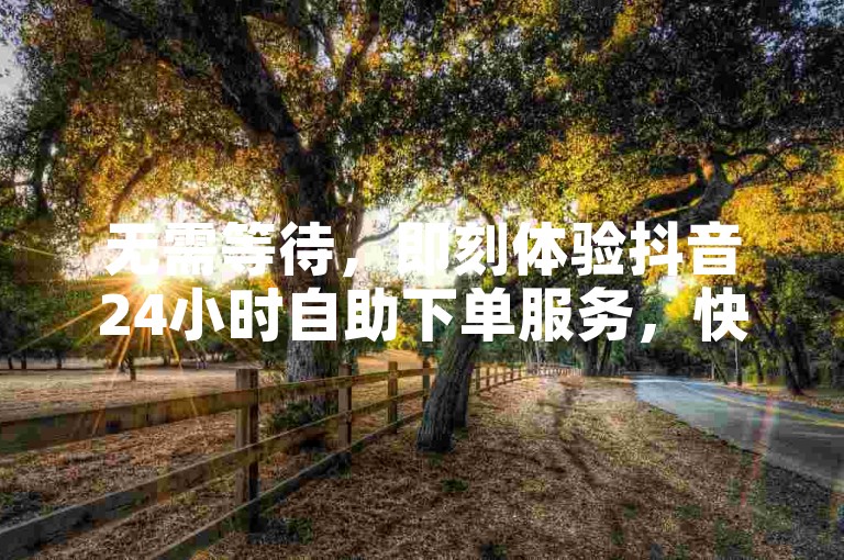 无需等待，即刻体验抖音24小时自助下单服务，快手播放量轻松增。