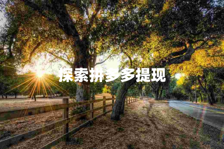 探索拼多多提现50元的简易方法，让你的目标触手可及！