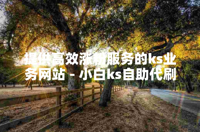 提供高效涨粉服务的ks业务网站 - 小白ks自助代刷平台，助你轻松提升人气。