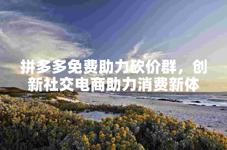 拼多多免费助力砍价群，创新社交电商助力消费新体验。