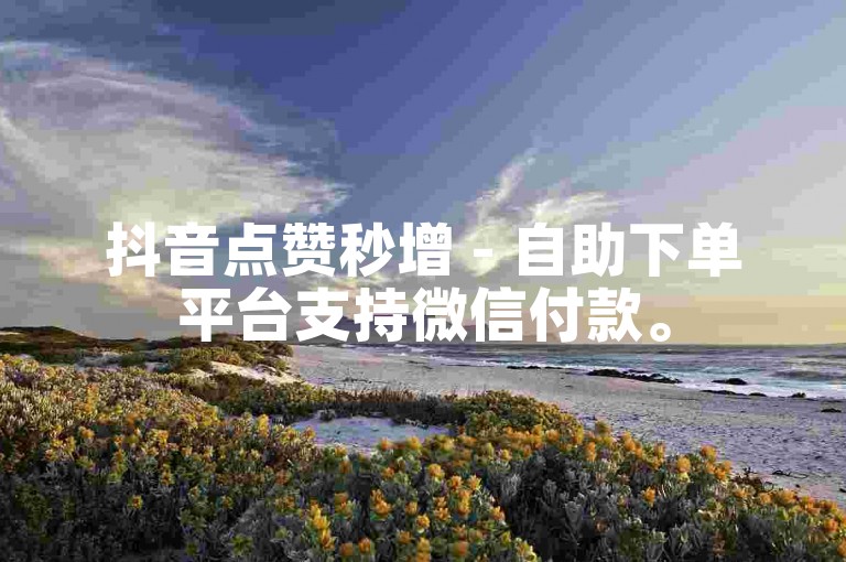 抖音点赞秒增 - 自助下单平台支持微信付款。
