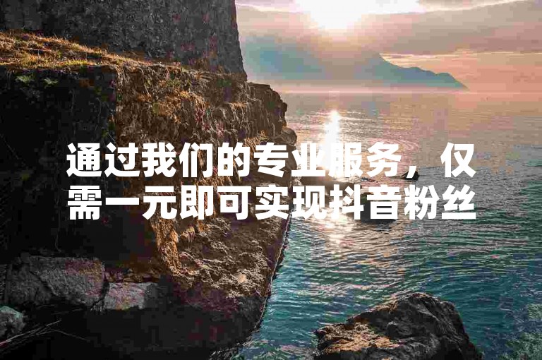 通过我们的专业服务，仅需一元即可实现抖音粉丝数量的有效增长。