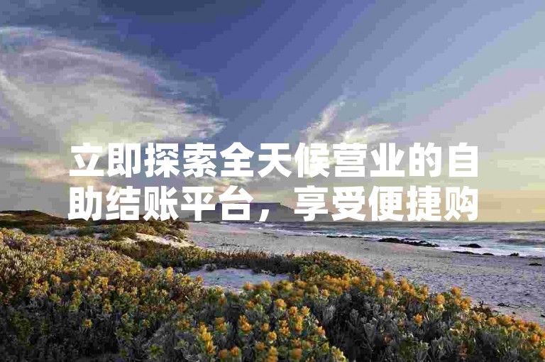 立即探索全天候营业的自助结账平台，享受便捷购物的乐趣，节省宝贵时间。