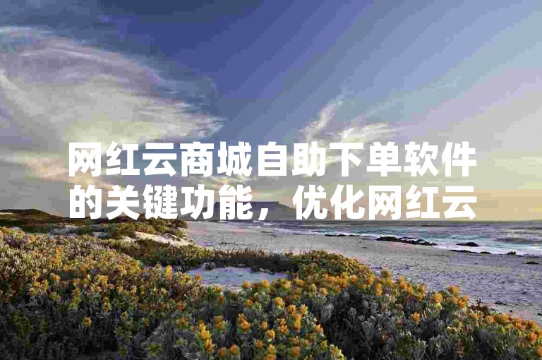 网红云商城自助下单软件的关键功能，优化网红云商城操作流程的自助下单系统！新手推荐！