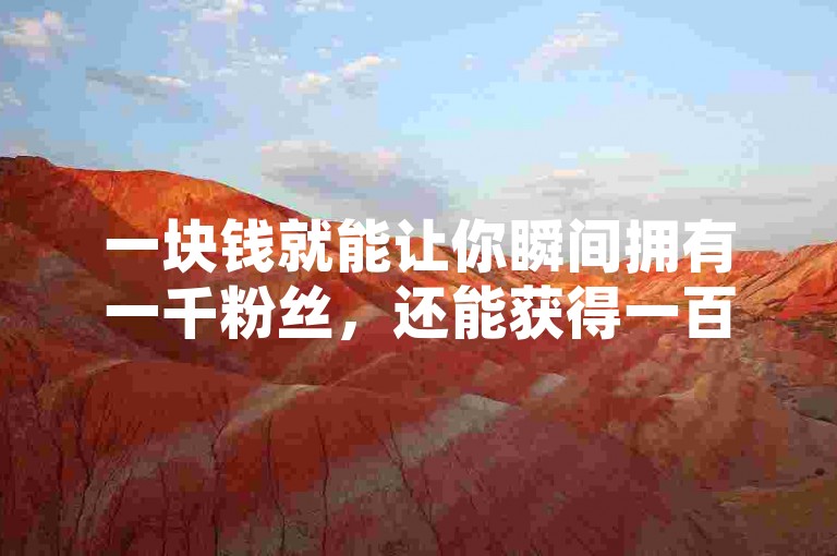 一块钱就能让你瞬间拥有一千粉丝，还能获得一百万个赞。