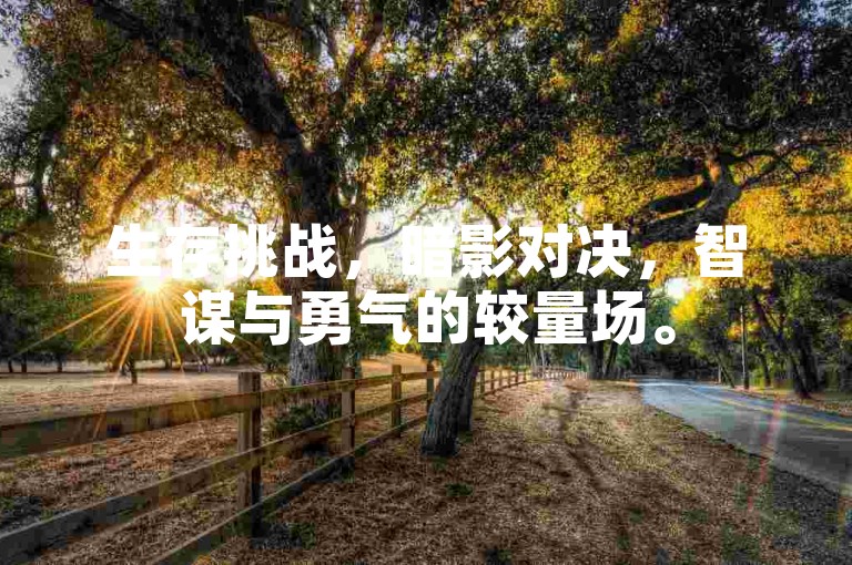 生存挑战，暗影对决，智谋与勇气的较量场。