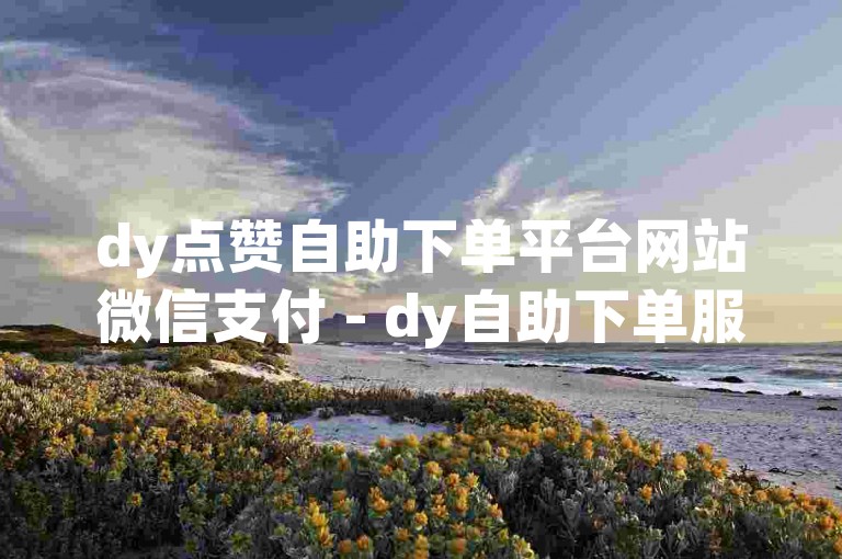 dy点赞自助下单平台网站微信支付 - dy自助下单服务平台优惠红包