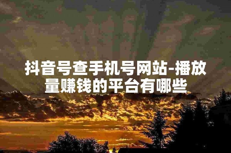 抖音号查手机号网站-播放量赚钱的平台有哪些