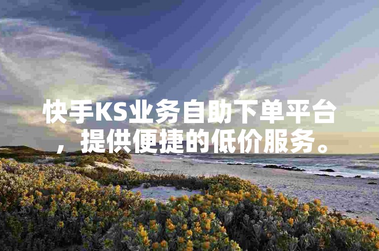 快手KS业务自助下单平台，提供便捷的低价服务。