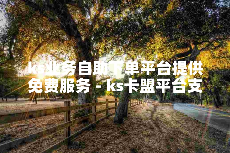 ks业务自助下单平台提供免费服务 - ks卡盟平台支持自助操作