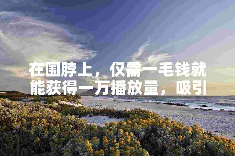 在围脖上，仅需一毛钱就能获得一万播放量，吸引粉丝在线下单。