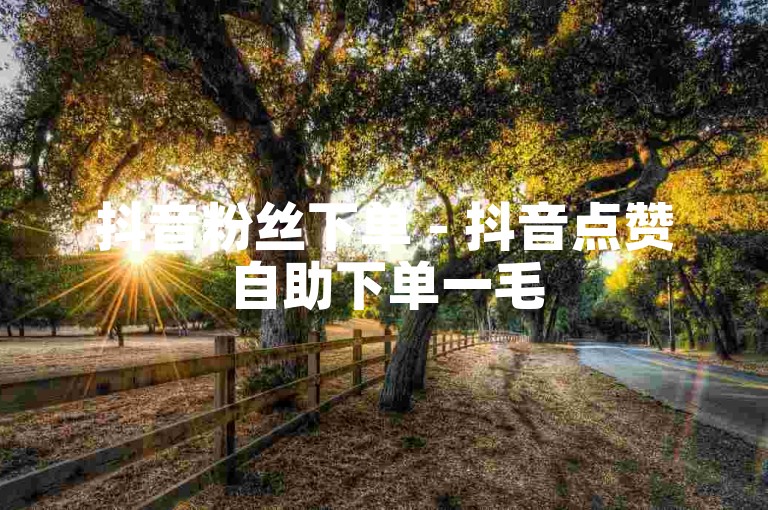 抖音粉丝下单 - 抖音点赞自助下单一毛