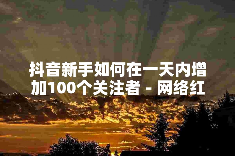 抖音新手如何在一天内增加100个关注者 - 网络红人即时增粉服务。