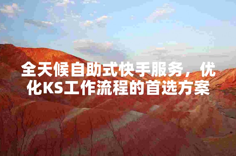全天候自助式快手服务，优化KS工作流程的首选方案。