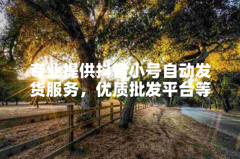 专业提供抖音小号自动发货服务，优质批发平台等你来选。