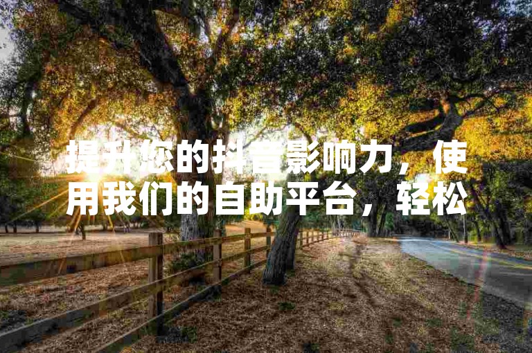 提升您的抖音影响力，使用我们的自助平台，轻松实现粉丝增长。