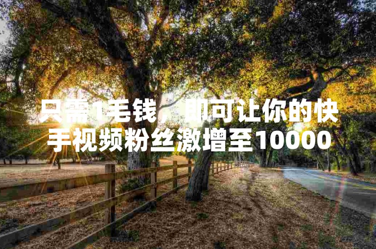 只需1毛钱，即可让你的快手视频粉丝激增至10000人，轻松实现创业梦想的人气爆发。