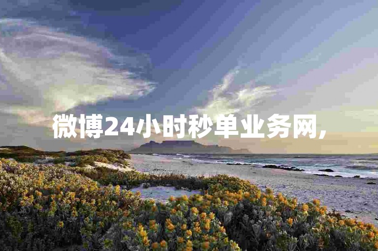 微博24小时秒单业务网,520代刷网
