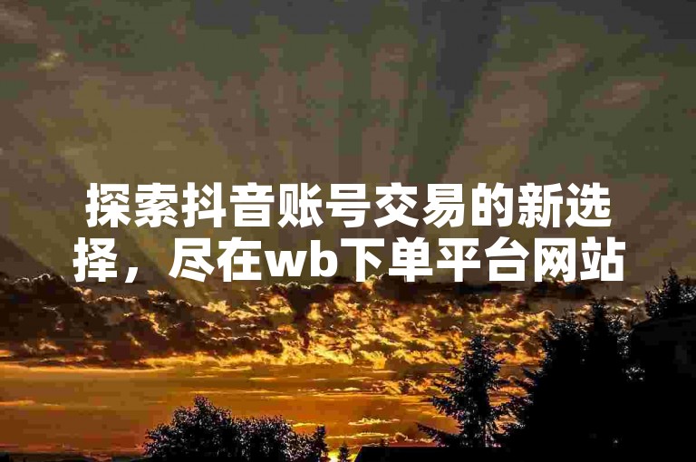 探索抖音账号交易的新选择，尽在wb下单平台网站。