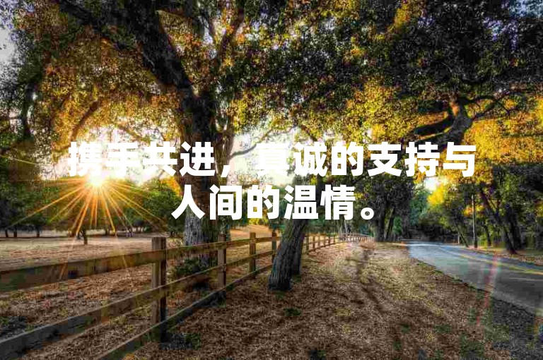 携手共进，真诚的支持与人间的温情。