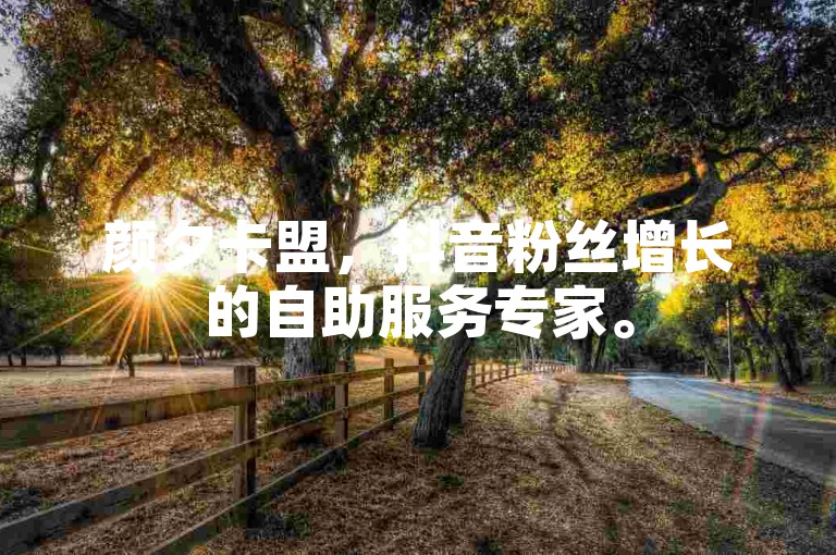 颜夕卡盟，抖音粉丝增长的自助服务专家。