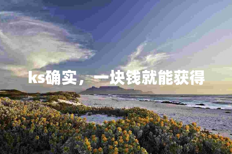 ks确实，一块钱就能获得500个赞，抖音涨赞真划算。