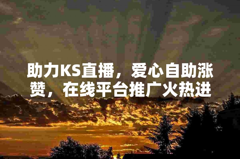 助力KS直播，爱心自助涨赞，在线平台推广火热进行中！