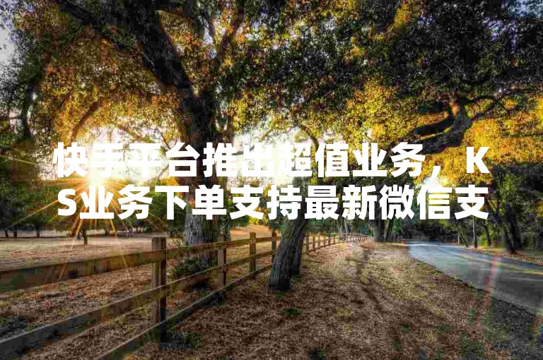 快手平台推出超值业务，KS业务下单支持最新微信支付功能。