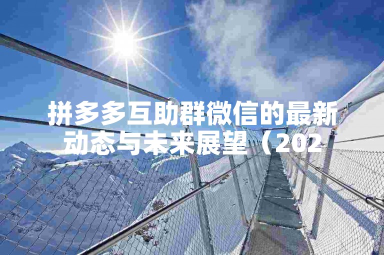 拼多多互助群微信的最新动态与未来展望（2025年更新）