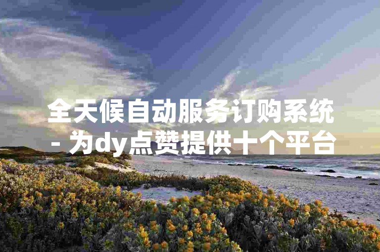 全天候自动服务订购系统 - 为dy点赞提供十个平台的订单处理。