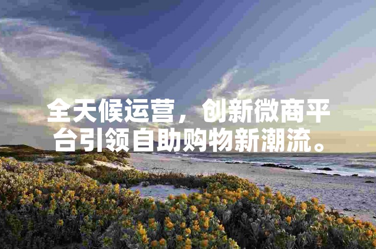 全天候运营，创新微商平台引领自助购物新潮流。
