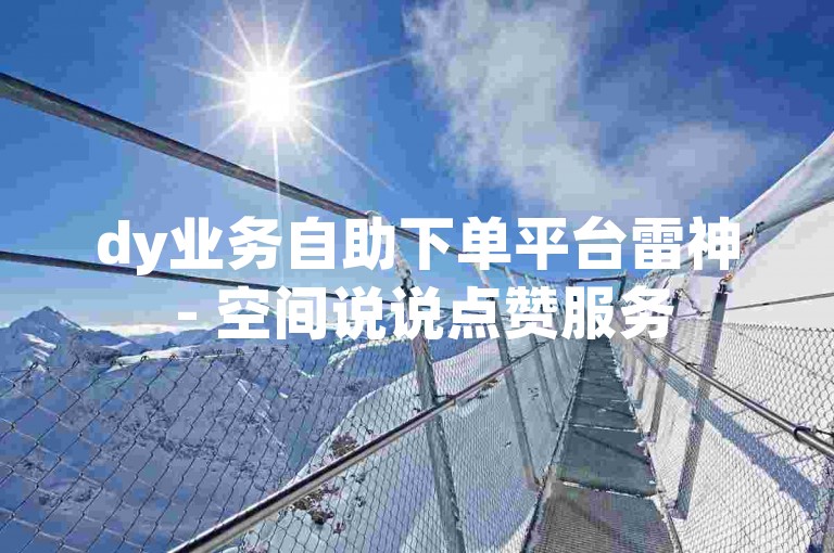 dy业务自助下单平台雷神 - 空间说说点赞服务