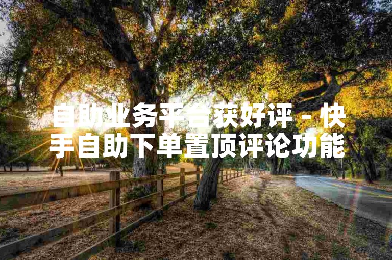 自助业务平台获好评 - 快手自助下单置顶评论功能受青睐。